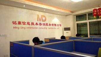 資陽銘鼎信息技術(shù)咨詢服務(wù) 賦能企業(yè)數(shù)字化轉(zhuǎn)型的專業(yè)伙伴